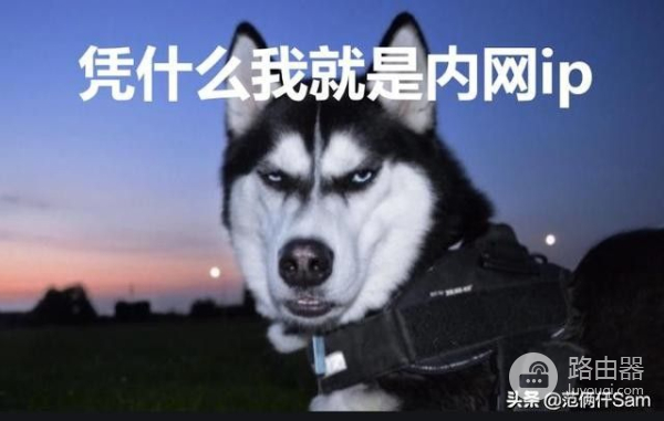 搭建nas不远程访问怎么行？篇五，内网ip的大救星，花生壳盒子