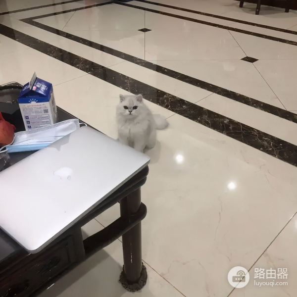 家里有人沉迷电脑(沉迷于电脑)