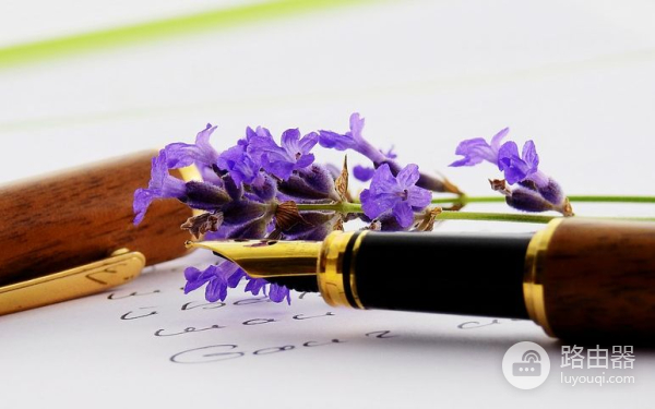 电脑怎么投屏到手机(如何把电脑投影到手机)