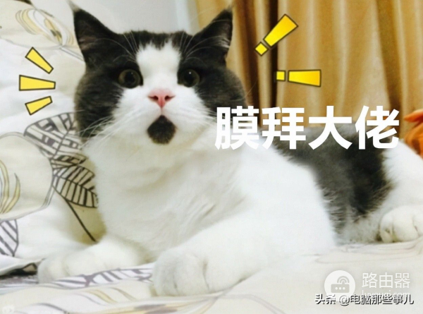 这可能是你见过最有趣的电脑壁纸工具(有趣的电脑壁纸软件)