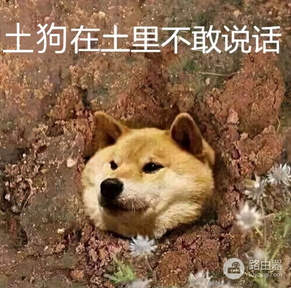 技术白痴在家搞了个简易录音棚(家庭自制简易录音棚)