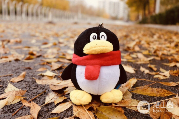 电脑长截图的最佳方法(如何用电脑QQ长截图)