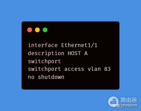 如何模拟真实网络中的主机(如何模拟真实网络中的主机上网)