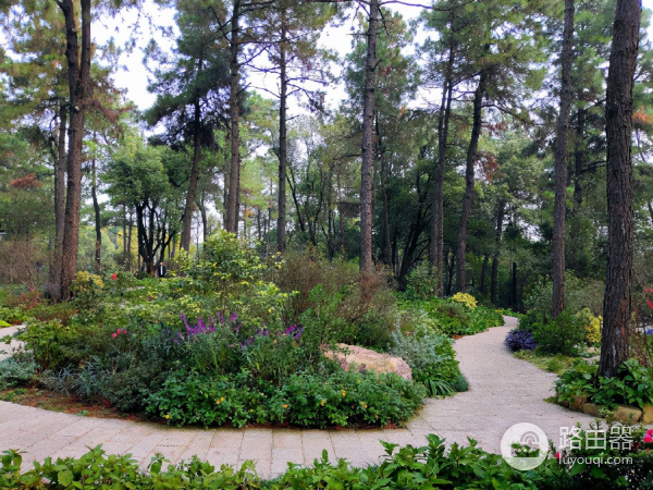 如何消除衣服静电(如何消除电脑主机静电)