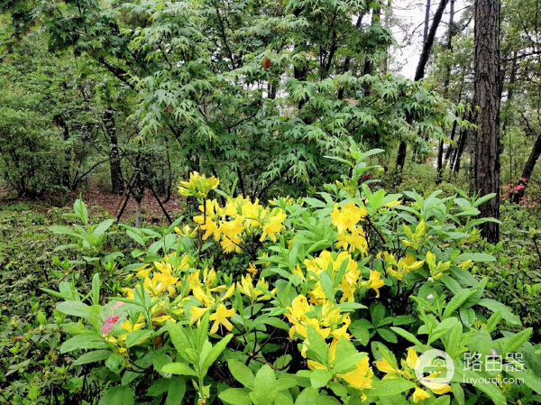 如何消除衣服静电(如何消除电脑主机静电)