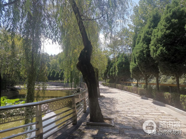 小说写作常用的技巧(如何在电脑写小说)