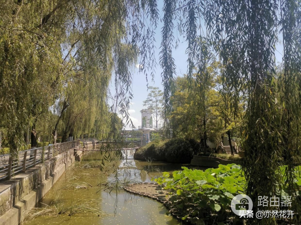 小说写作常用的技巧(如何在电脑写小说)