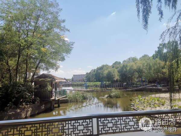 小说写作常用的技巧(如何在电脑写小说)