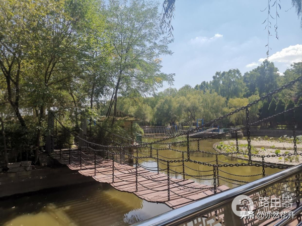 小说写作常用的技巧(如何在电脑写小说)