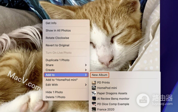 如何制作相册(电脑如何创建相册)