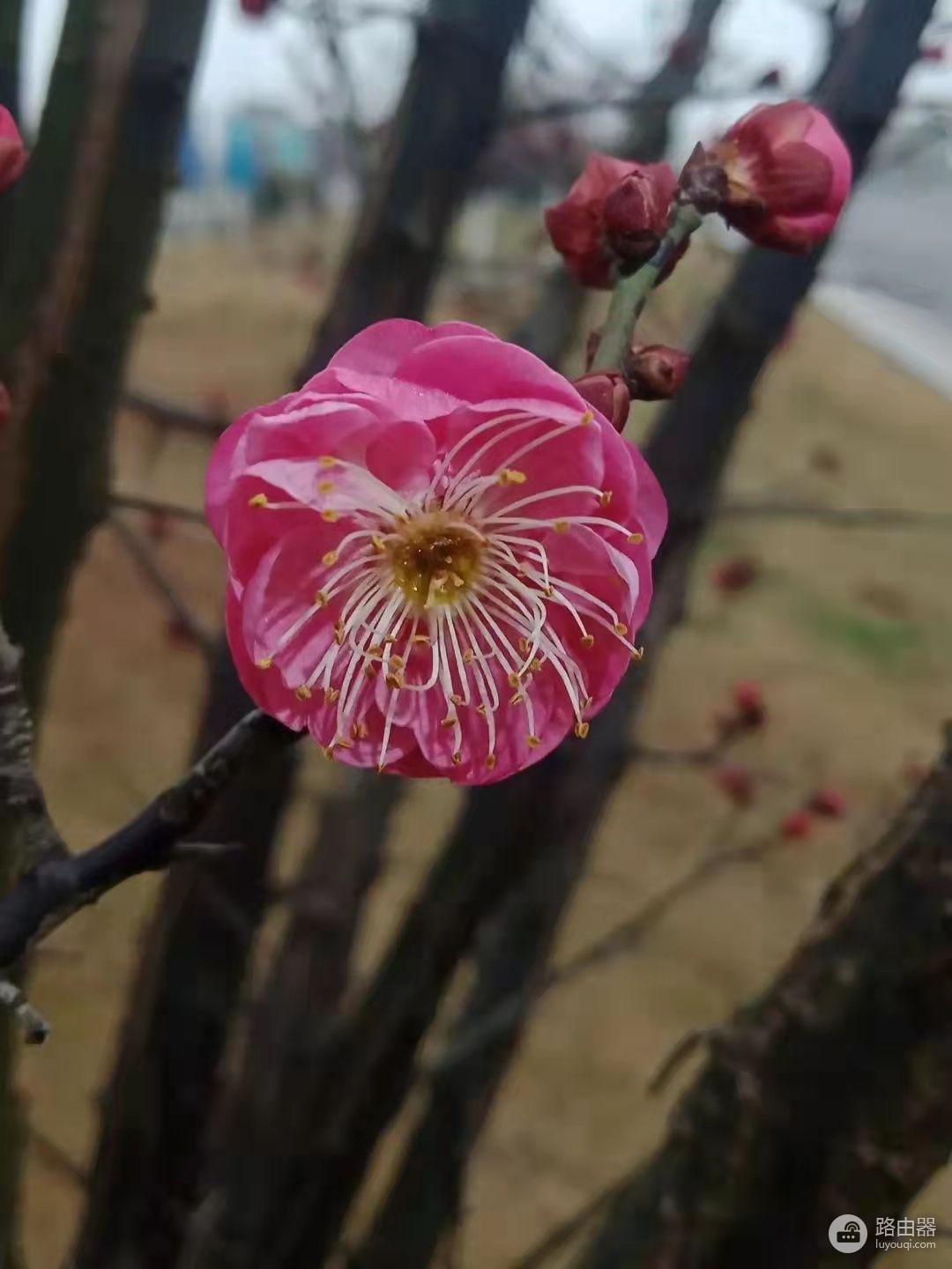 有的电脑开机有一个小棍棍转半天，检测网卡咋去掉来