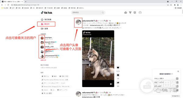 如何使用电脑浏览TikTok(如何使用电脑浏览器扫描二维码)