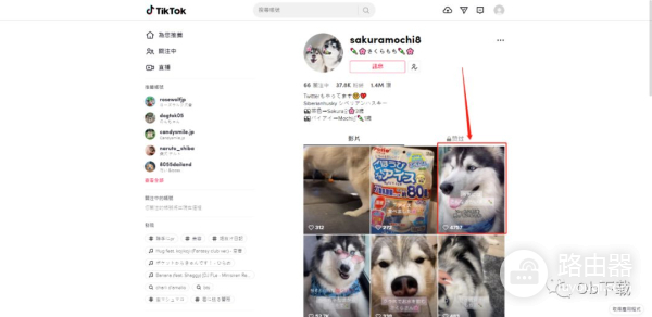 如何使用电脑浏览TikTok(如何使用电脑浏览器扫描二维码)
