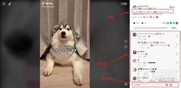 如何使用电脑浏览TikTok(如何使用电脑浏览器扫描二维码)