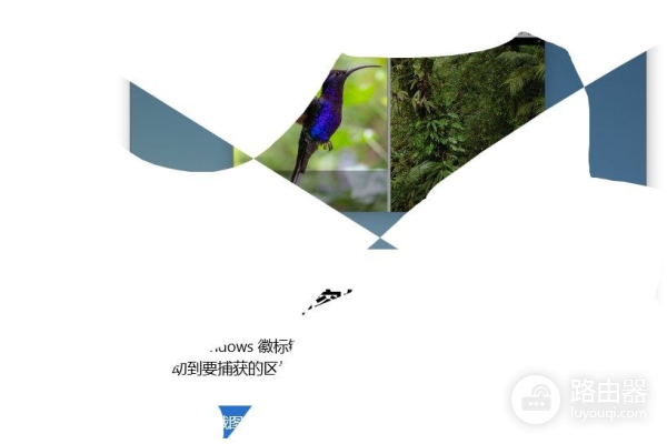 你不知道电脑屏幕可以截异形图(电脑图像截屏)