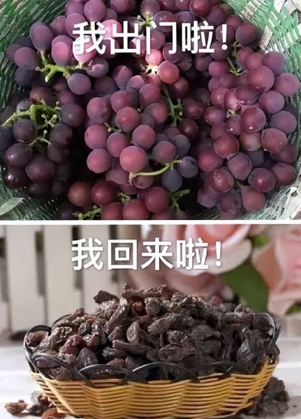 如何用手机远程控制电脑解决相关问题(如何通过手机远程控制电脑)