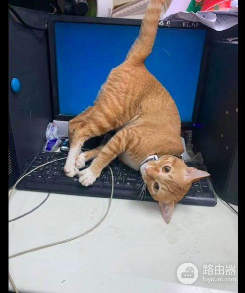 还把电脑给关上了(我把电脑关了)