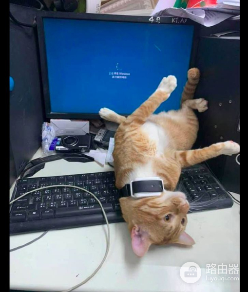 还把电脑给关上了(我把电脑关了)