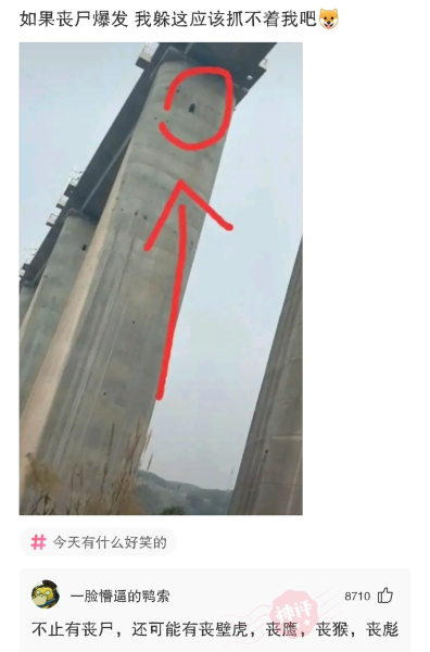 电脑上不了网了(电脑上不了网了但网络连接正常)