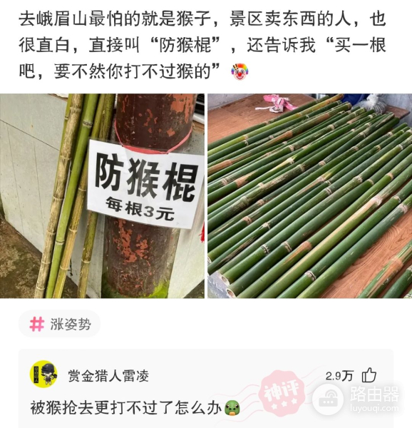 电脑上不了网了(电脑上不了网了但网络连接正常)