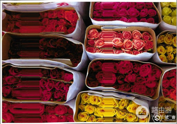 全球最小的喷墨一体机!惠普小Q打印世界的真实色彩