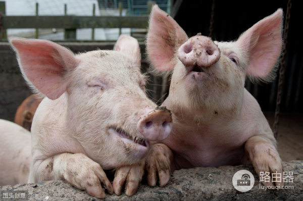 怎样自动同步电脑时间(如何电脑时间同步)