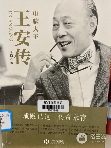 电脑大王王安传(电脑大王王安事例)