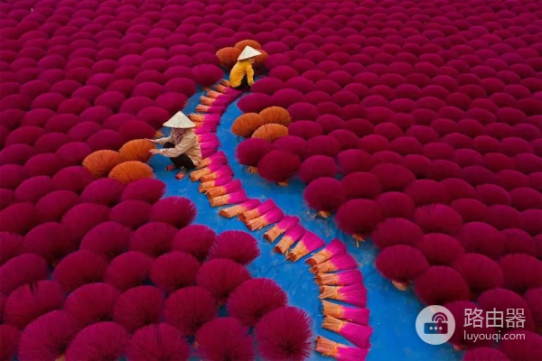 电脑大王王安传(电脑大王王安事例)