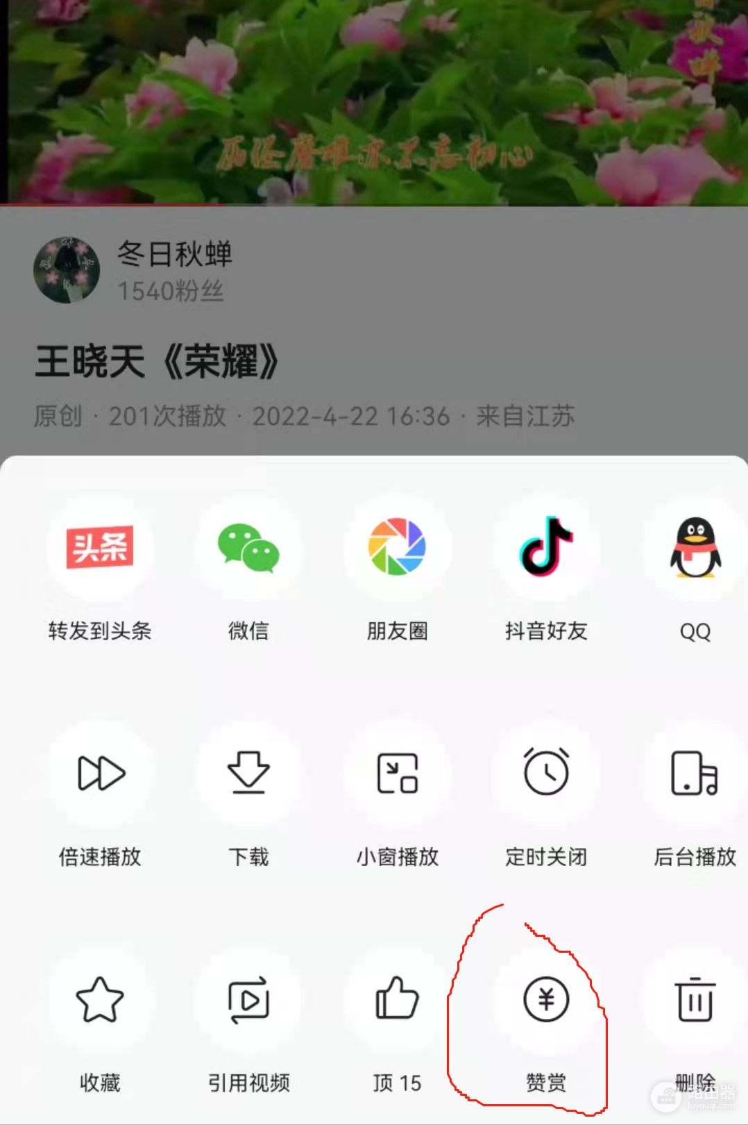 你会用头条的赞赏功能吗(头条号赞赏功能)