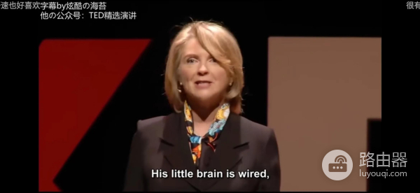 如何利用好TED演讲(电脑如何播放演讲)