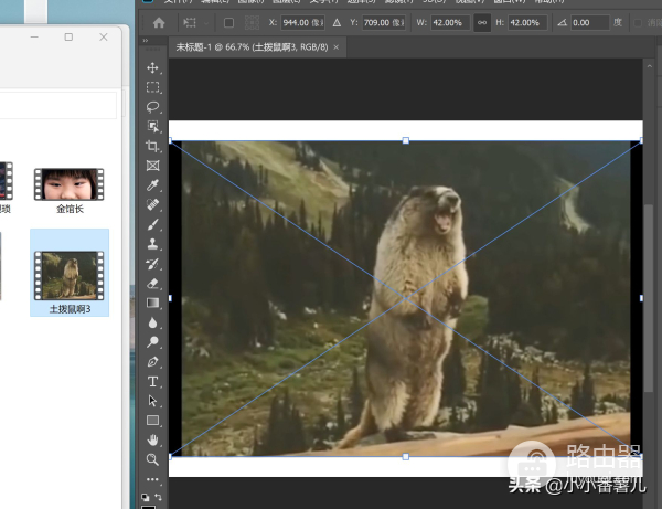 PS为什么图片无法直接拖入PS中(ps无法拖入图片原因)