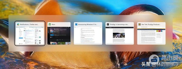 Windows 11中对Alt+Tab的窗口切换效果更改更美观了