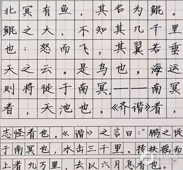 高考使用不同字体(高考使用不同字体,电脑阅卷)