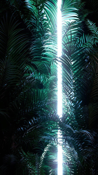 如何设置iPhone开灯壁纸(iphone11开灯壁纸怎么设置)