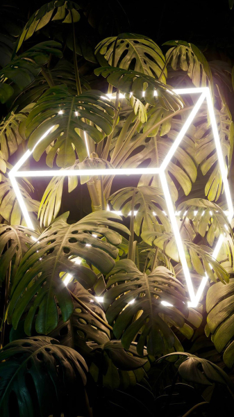 如何设置iPhone开灯壁纸(iphone11开灯壁纸怎么设置)