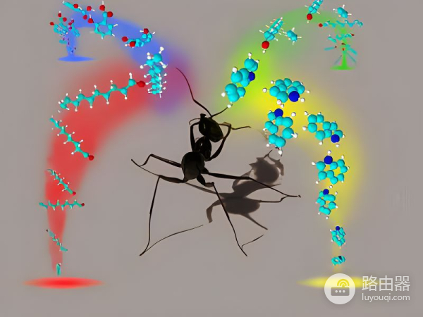 海口一女生将奶茶溅入电脑显示屏,导致蚂蚁筑巢!是怎么进去的?