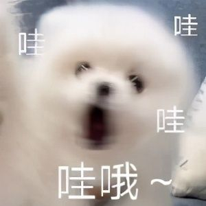 投屏到电脑上试试(投屏 到电脑)