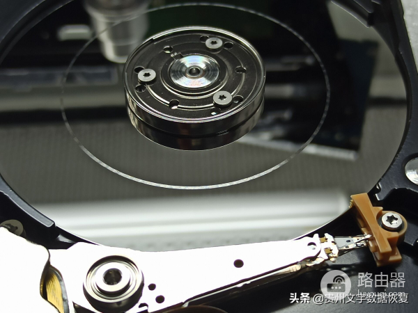 灯还亮有响声但电脑不读(灯还亮有响声但电脑不读光)