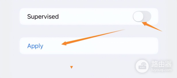 不用电脑也行(不使用电脑)