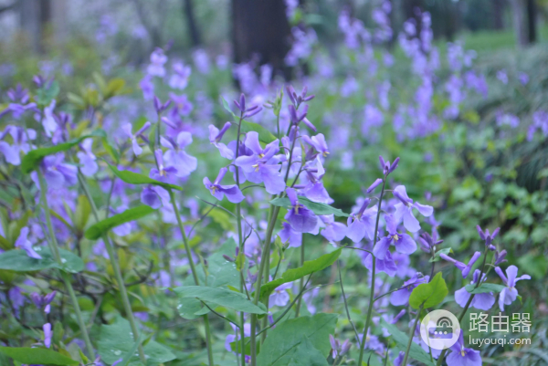 买电脑都需要注意哪些问题(买电脑应该注意哪些问题)