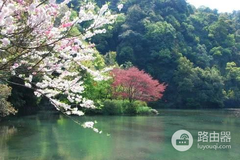 谁能想到修个电脑还能修出火来(电脑烧了还能修好吗)