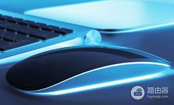 初学者电脑基本知识入门(如何学电脑基础知识)