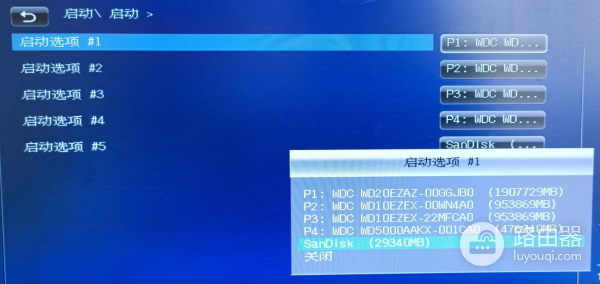 电脑重复启动该怎么办(电脑技巧-启动U盘重复显示bug折腾记)