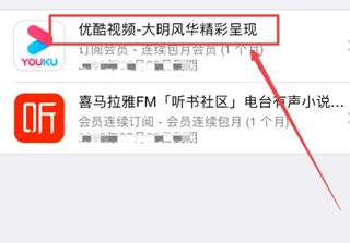 苹果电脑要怎么取消续费(苹果App Store自动扣费怎么取消 关闭自动续费方法)