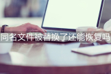 电脑文件重名名怎么恢复(同名文件被替换了还能恢复吗，同名文件被覆盖替换了怎么找回来)