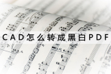 CAD怎么转成黑白PDF(怎么能把电脑屏幕弄成黑白)