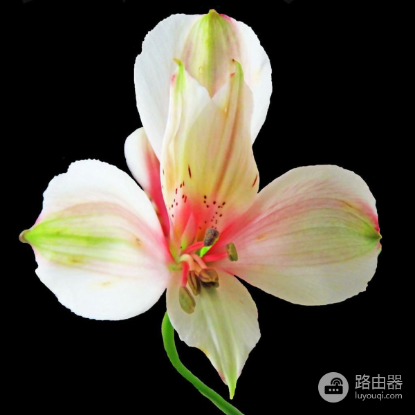 写文章怎么用电脑发表作品(今日头条电脑端如何快速使用，发表文章)