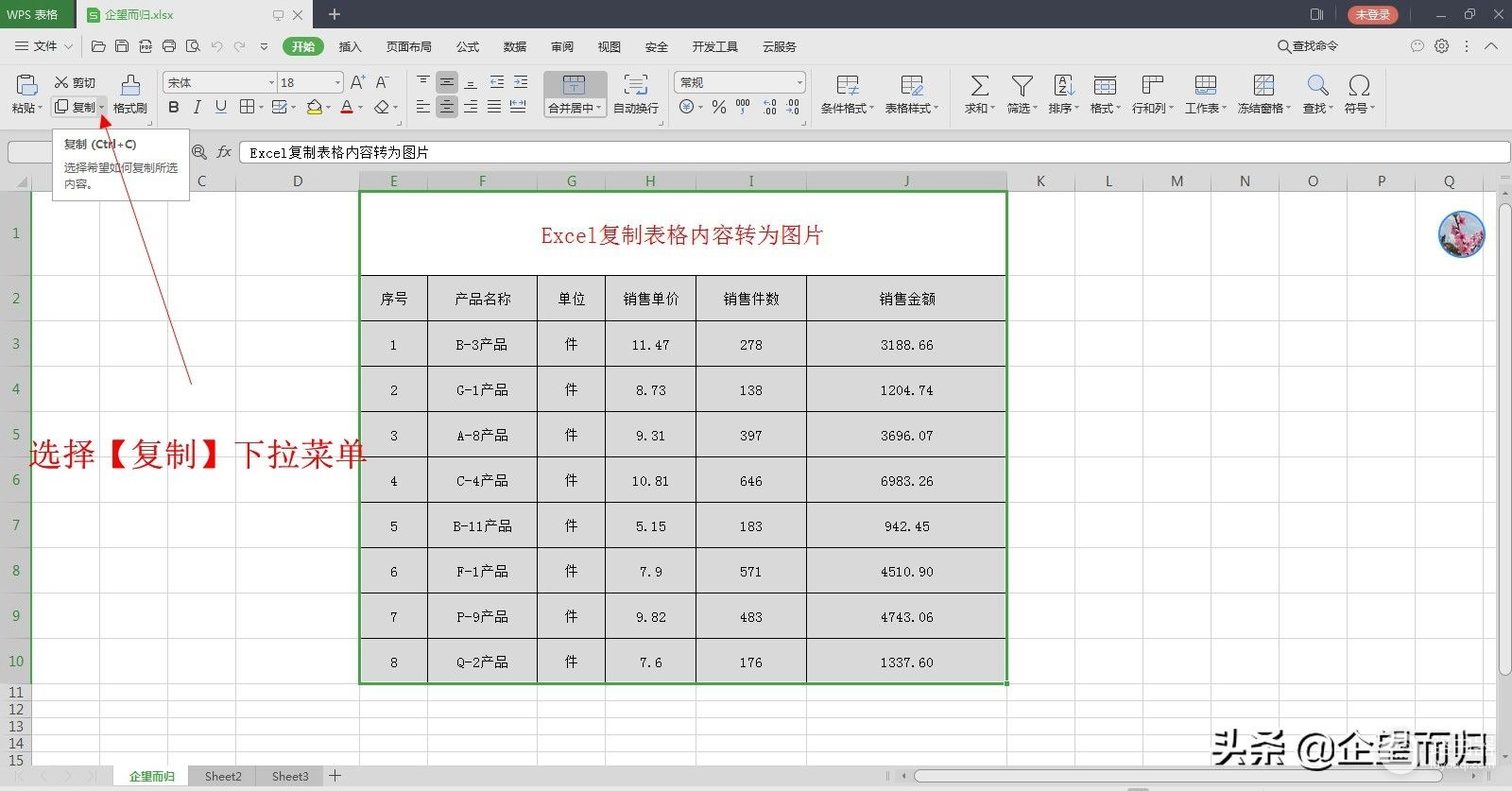 用电脑怎么把表格改成图片(Excel表格内容转为图片，方便使用)