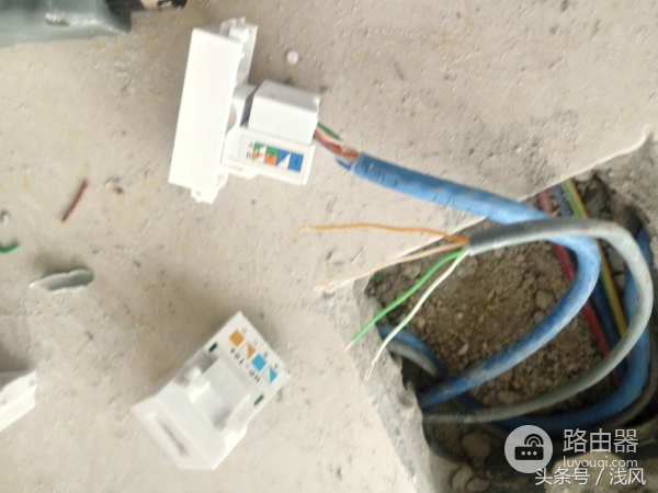 家里电脑的线怎么插在墙上(墙面和地插网线怎么接线)