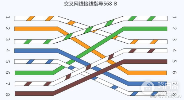 电脑插网线了怎么联网络(详解网线的接法)